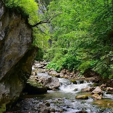 Csiki Hotel Miercurea Ciuc